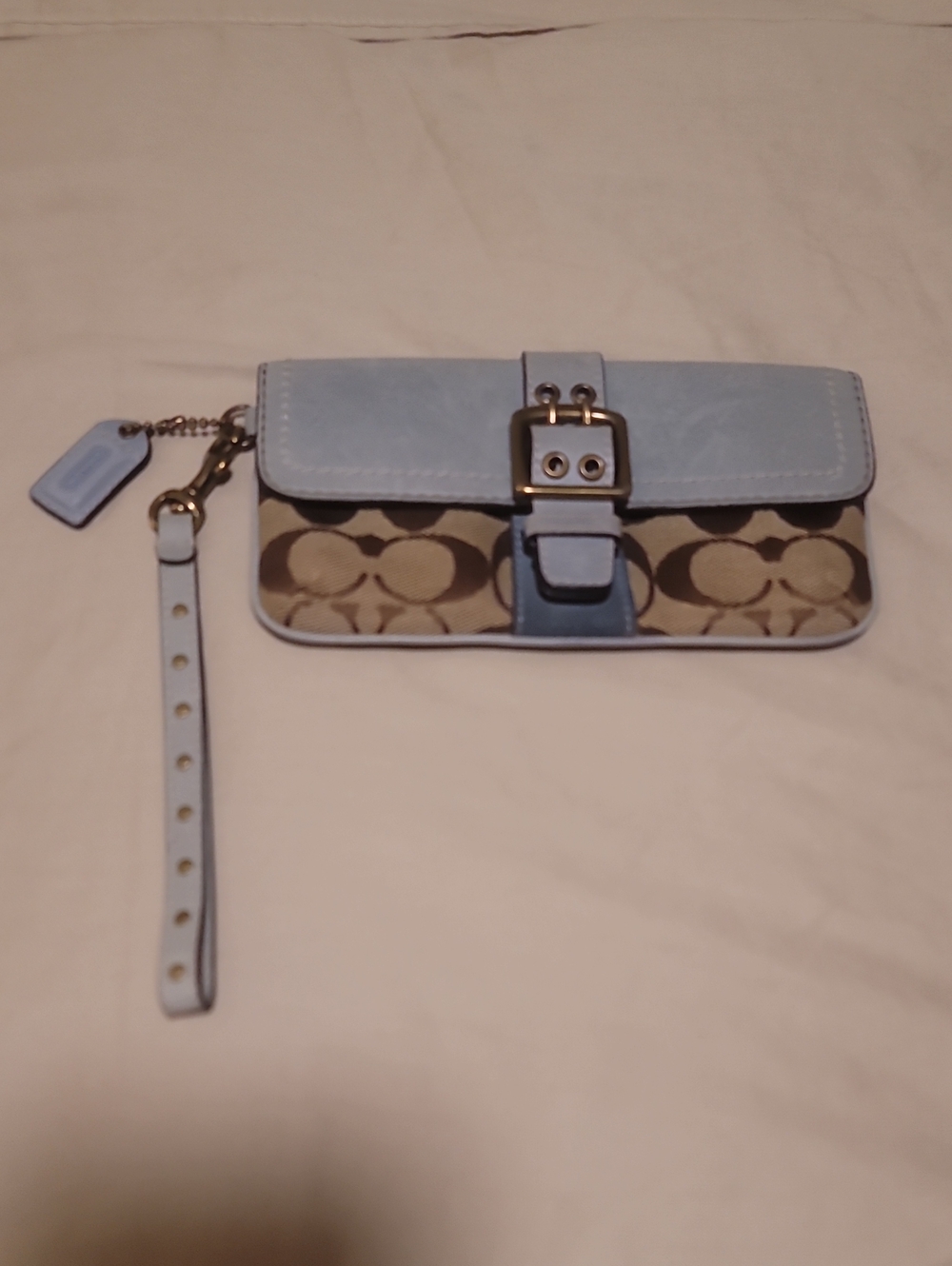 Light Blue Signature Canvas Wristlet Clutch